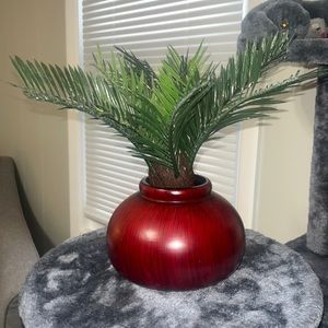 fake plant